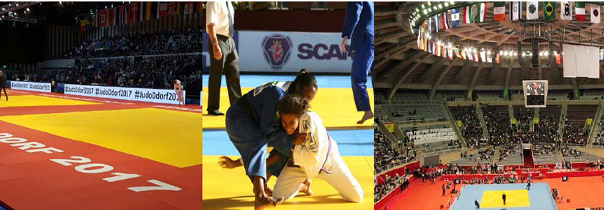 Tatami Profesional